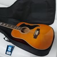 chitarra 12 corde eko ranger5 elettrif. + custodia