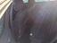 Immagine 10