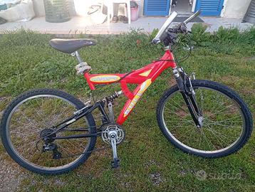 Bicicletta Mountain Bike