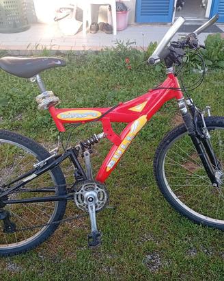Bicicletta Mountain Bike