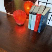lampada da tavolo al sale dell' Himalaya