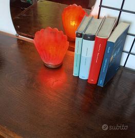 lampada da tavolo al sale dell' Himalaya