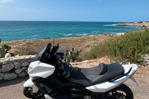 Tmax 500