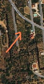 Vendersi Terreno Agricolo