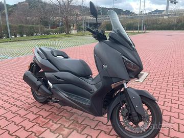 X-Max 300