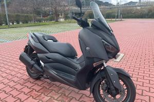 X-Max 300