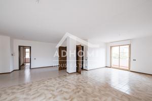 Ampio ufficio, 1° piano, luminoso