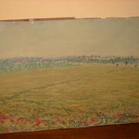 QUADRO RENICA – IL CAMPO