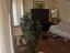 Immagine 2