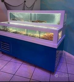 acquario professionale per crostacei e molluschi 