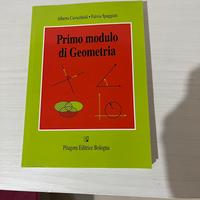 Primo modulo di Geometria