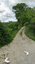 Terreni con querce e ulivi