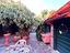 Immagine 15