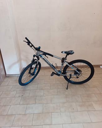 bicicletta