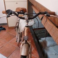 bici mai usata