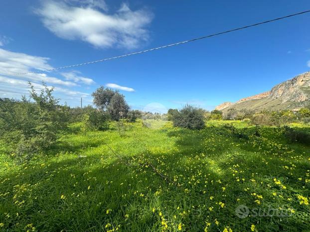 TER. AGRICOLO A TERRASINI