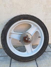Ruota posteriore Fifty