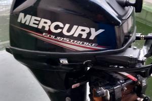mercury 15 CV 4 t