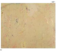 Walter Darby Bannard