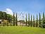 Immagine 14