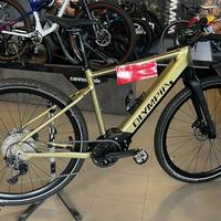 OLYMPIA EXPLORER GRAVEL OLI EDGE EBIKE