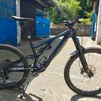 Stumpjumper EVO Expert 2024