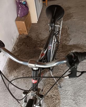 Bicicletta uomo 28