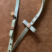 Collare con guinzaglio