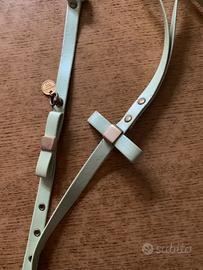 Collare con guinzaglio