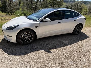 Tesla Model 3 RWD 2023 Bianca, perfette condizioni