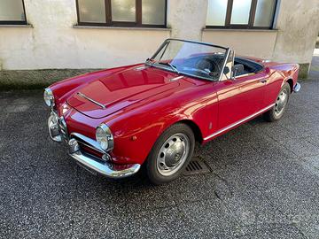 Giulia spider