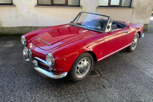 Giulia spider