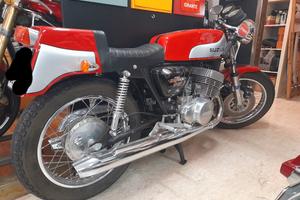 suzuki titan  saiad allestimento tt 500    