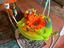 Immagine 1