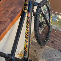 Bicicletta soecialized