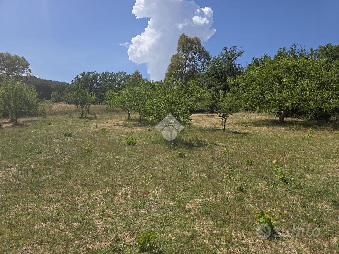 TER. AGRICOLO A PIANA DEGLI ALBANESI - Vista 2
