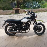 Mash Seventy Five 125