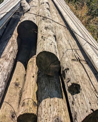 Travi in legno massiccio.Diam. variabile 14-20 cm