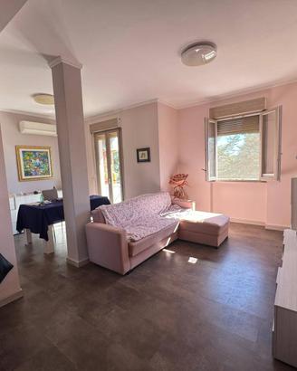 Appartamento - Campobasso