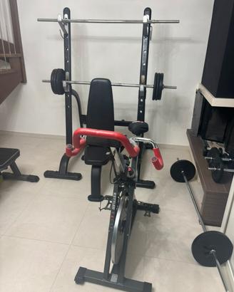 Palestra pesi