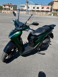 SH 125 08/2024 VERDE VETRO