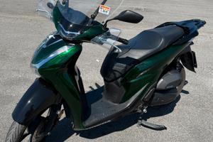 SH 125 08/2024 VERDE VETRO