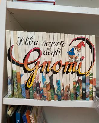 Il libro segreto degli gnomi