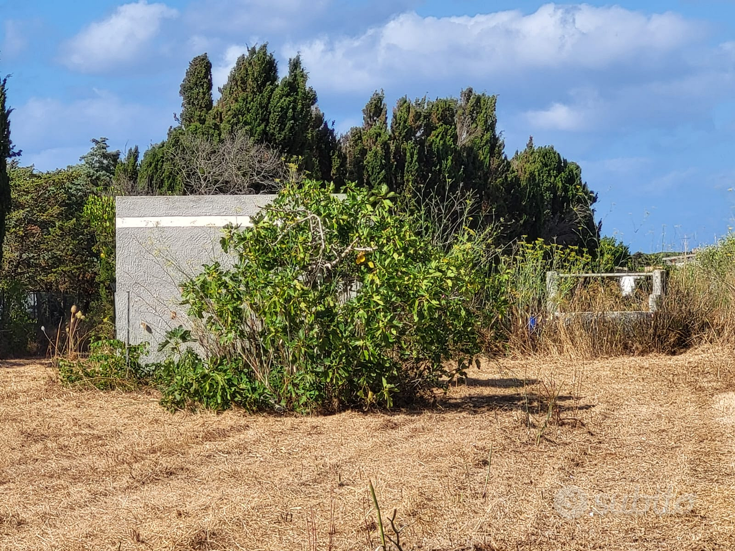 Terreno con casetta 11 mq² accatastata e pozzo - Vista 2