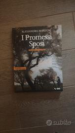 Promessi Sposi 