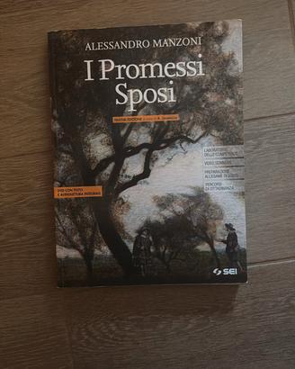 Promessi Sposi 