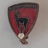 Ogg Vintage Spilla Stelvio