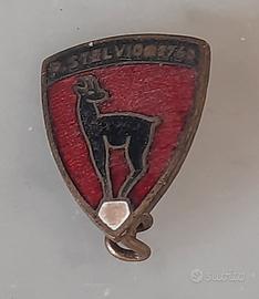 Ogg Vintage Spilla Stelvio