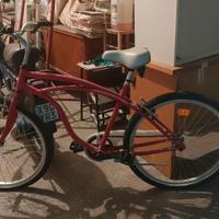 Bicicletta DA VETRINA