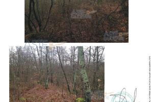 Terreno Agricolo Bomarzo [A4357941]